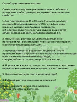 Бордоская смесь GREEN BELT от парши, фитофтороза 100 гр арт. 01-140 [50] ТЕХНОЭКСПОРТ. ЧЕБОПТ.