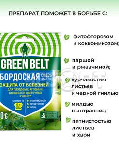 Бордоская смесь GREEN BELT от парши, фитофтороза 100 гр арт. 01-140 [50] ТЕХНОЭКСПОРТ. ЧЕБОПТ.