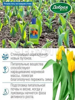 Удобрение органоминеральное ДОБРАЯ СИЛА для луковичных растений 250 мл [24] ГАРДЕН. ЧЕБОПТ.