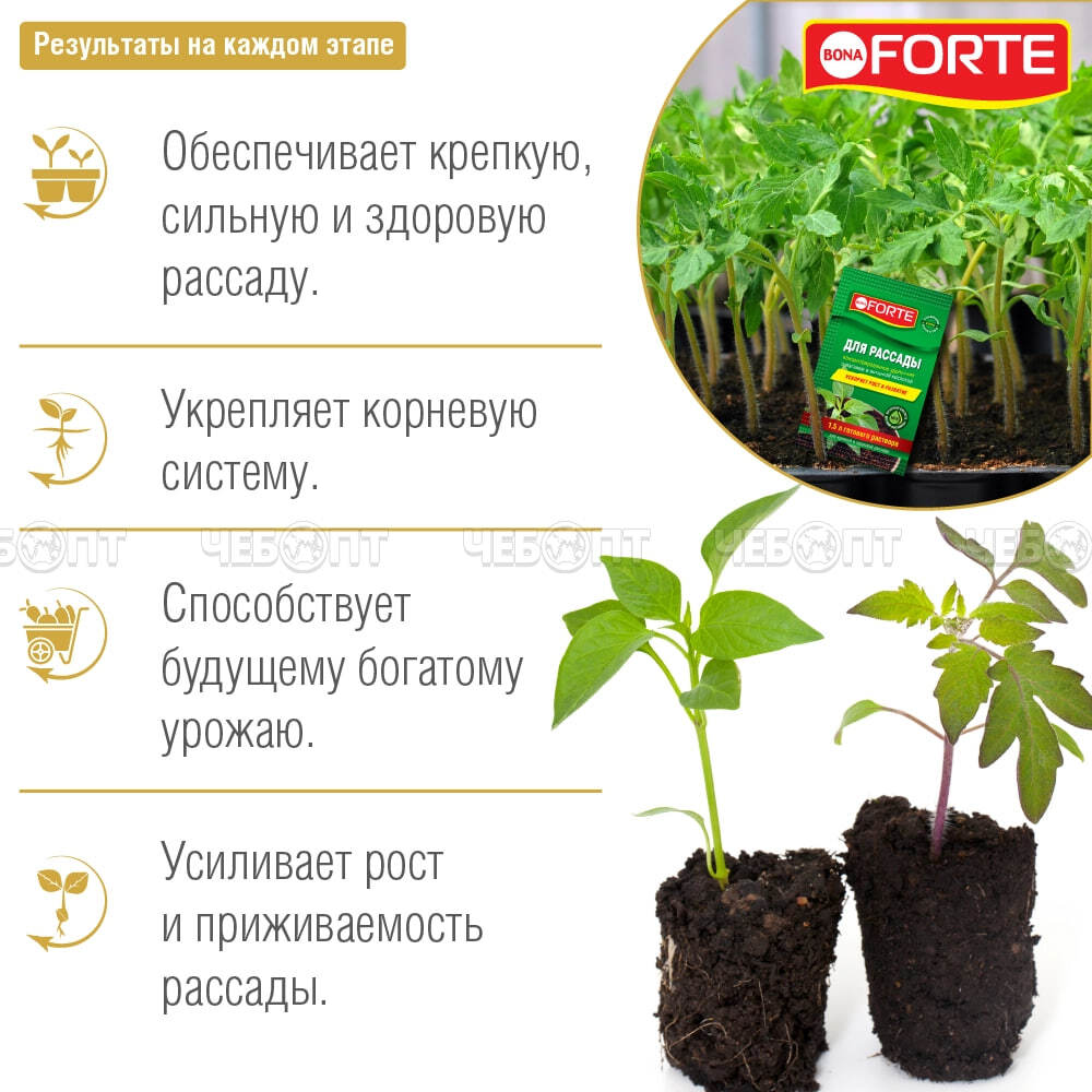 Удобрение комплексное минеральное BONA FORTE для рассады 10 мл (в шоубоксе 25 шт), арт. BF24010191 [25/75] ГАРДЕН. ЧЕБОПТ.