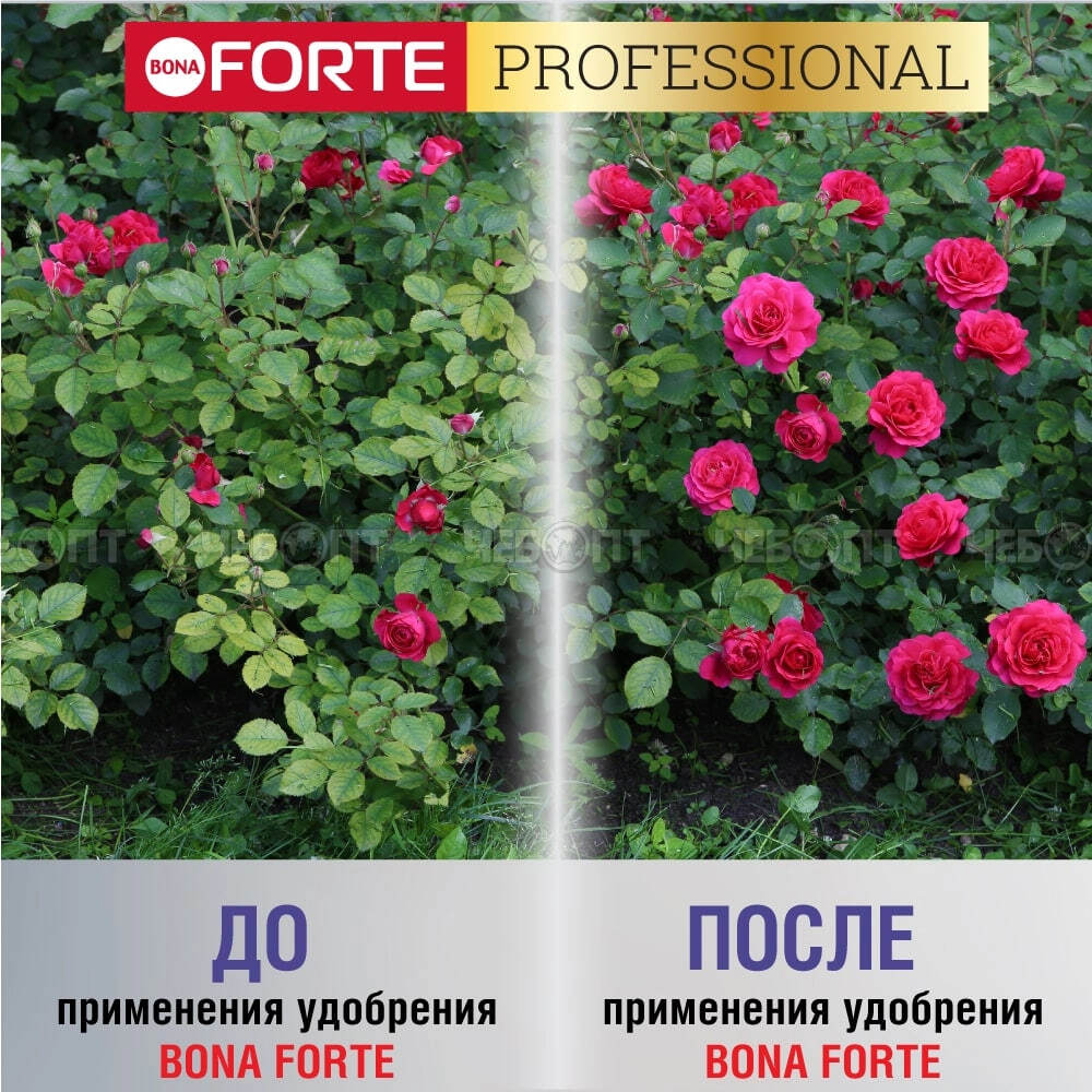 Сухое удобрение BONA FORTE гранулированное пролонгированное, биодоступным кремнием для Пионов и Роз, ведро 1 л арт. BF23020031 [12] ГАРДЕН. ЧЕБОПТ.