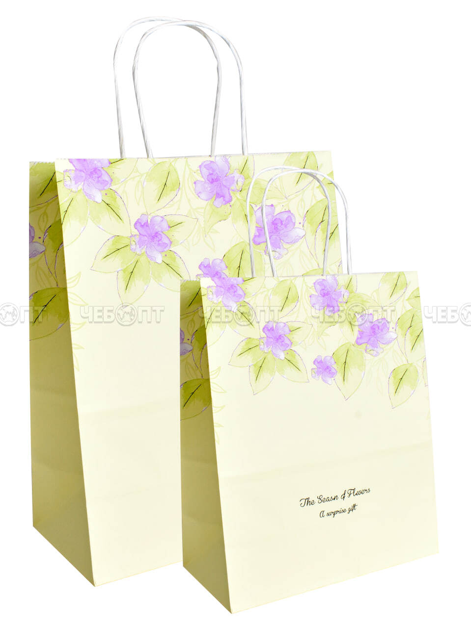Пакет бумажный подарочный ЦВЕТЫ 22*16*8 см с крученной ручной, цвет в ассортименте арт. 300727 $ [12/1200] GOODSEE. ЧЕБОПТ.