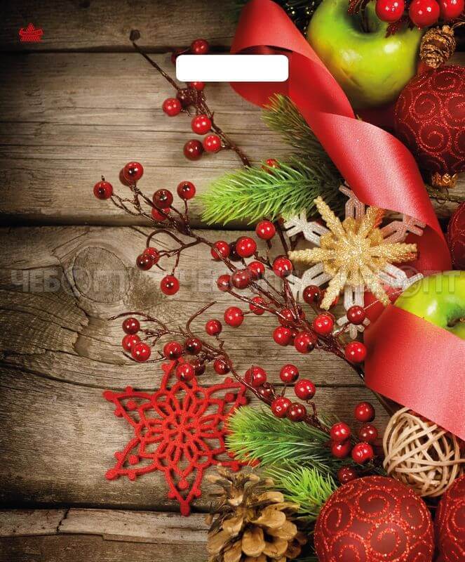 Пакет полиэтиленовый с вырубной ручкой ЗИМНЯЯ КАЛИНА 45*38 см 60 мкм [50/500]. ЧЕБОПТ.