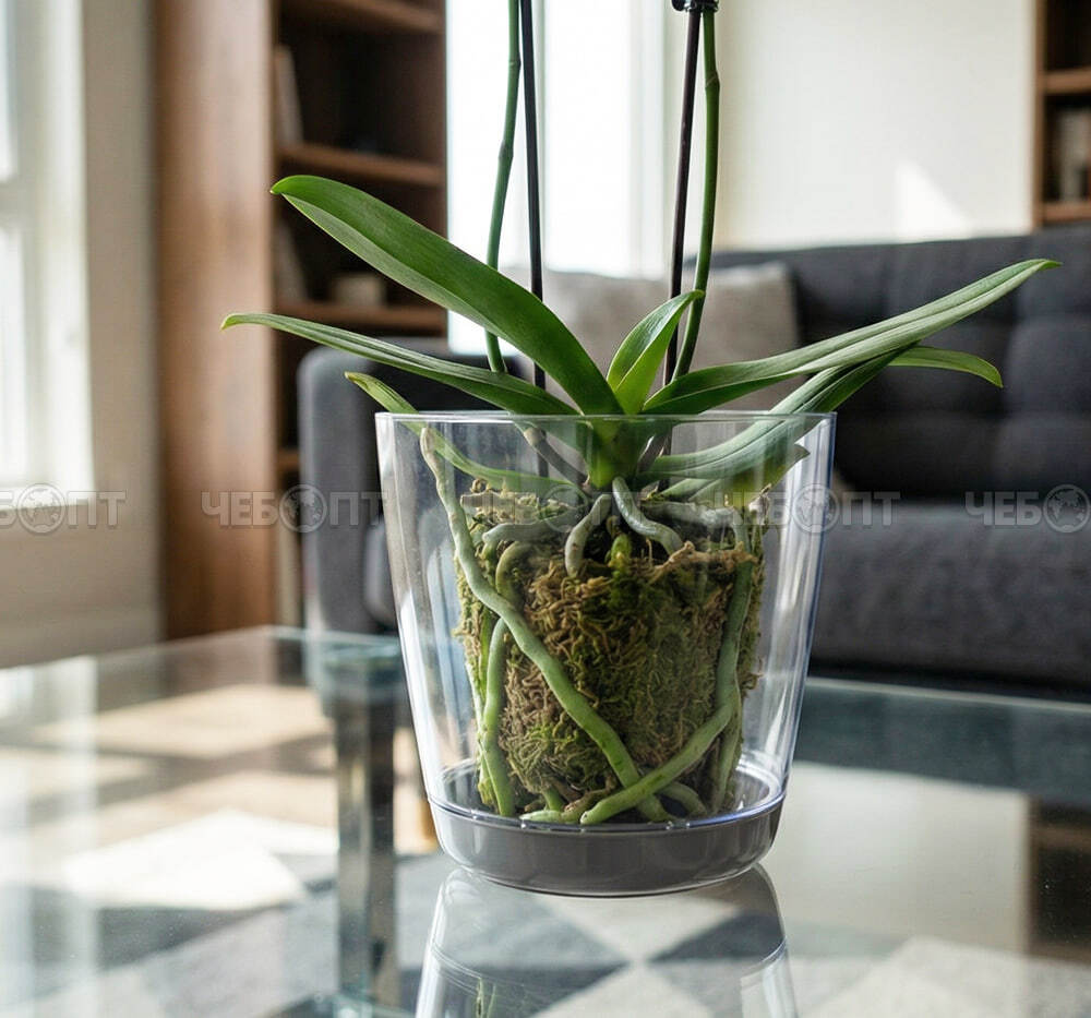 Кашпо для цветов 3 л ОРХИДЕЯ пластик 180 мм с поддоном ПРОЗРАЧНЫЙ арт. М 3051 [12] М-ПЛАСТИКА. ЧЕБОПТ.