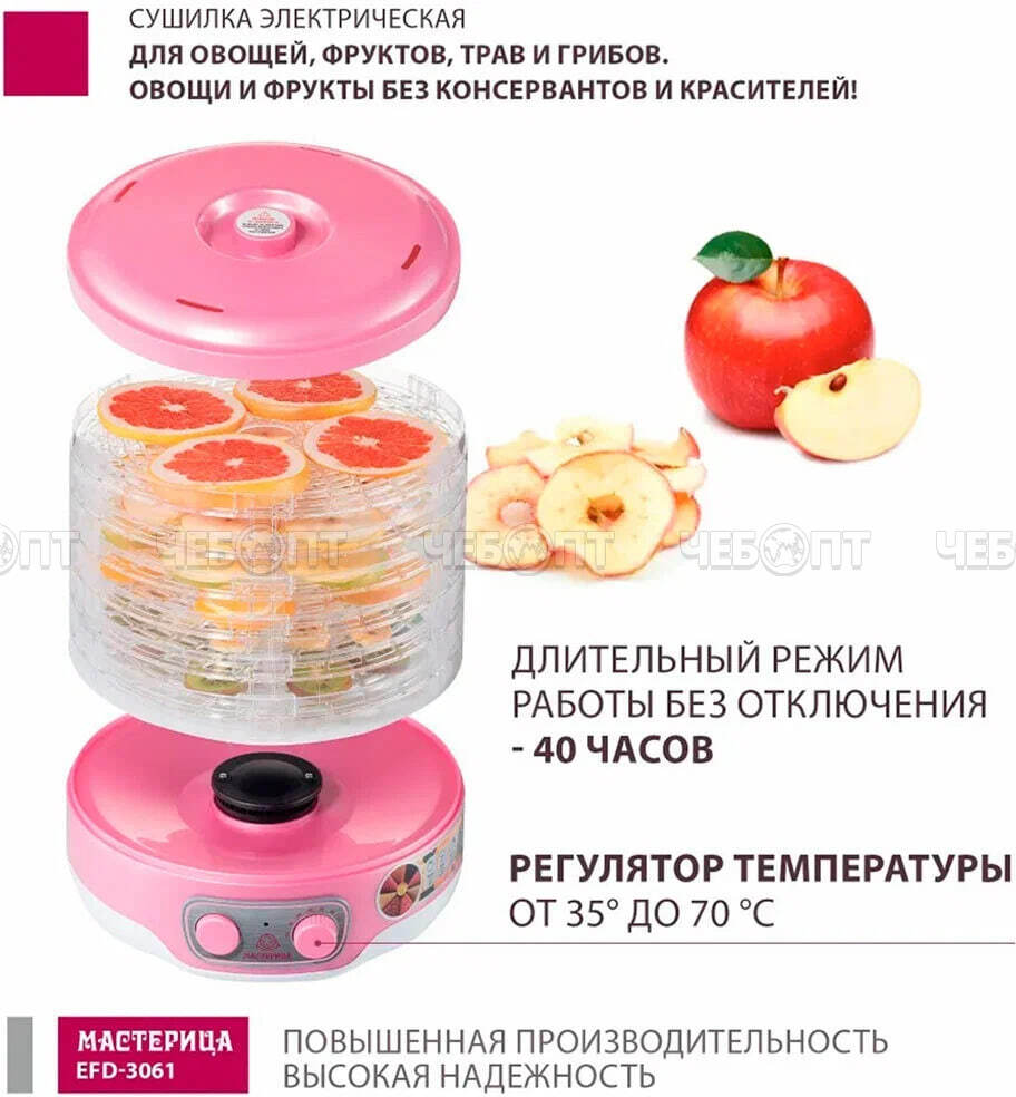 Электросушилка МАСТЕРИЦА EFD-3061 для овощей 6 поддонов +1 поддон для пастилы, возможность регулировки темп. внутри мощн 250 Вт [1]. ЧЕБОПТ.